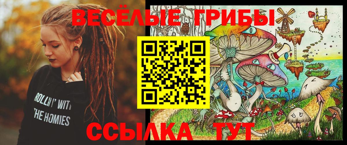 Псилоцибиновые грибы GOLDEN TEACHER  Вход с VPN  Псилоцибиновые грибы MAGIC MUSHROOMS  Лесосибирск 